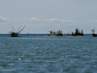 62838RoCrLeUsm - Kayak outing at McLaughlin Bay at Darlington Provincial Park.jpg